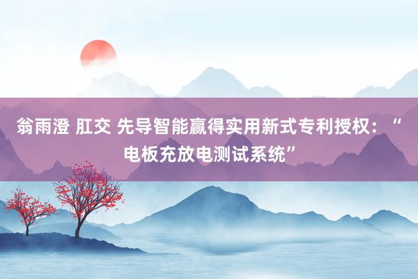 翁雨澄 肛交 先导智能赢得实用新式专利授权：“电板充放电测试系统”