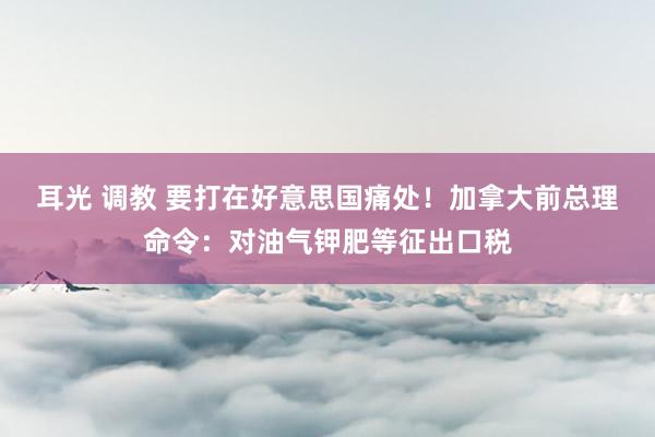 耳光 调教 要打在好意思国痛处！加拿大前总理命令：对油气钾肥等征出口税