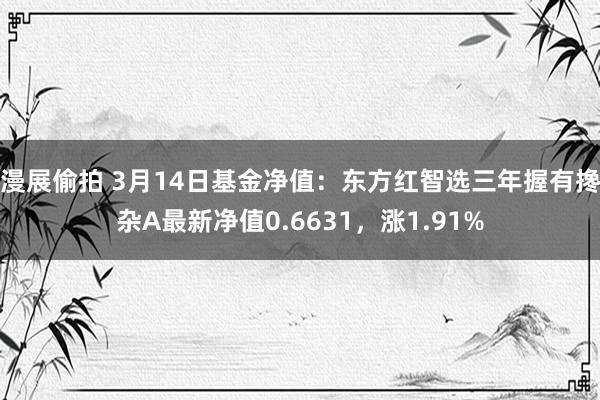 漫展偷拍 3月14日基金净值：东方红智选三年握有搀杂A最新净值0.6631，涨1.91%