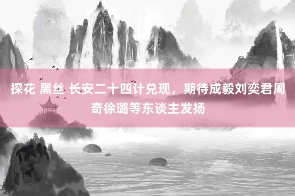 探花 黑丝 长安二十四计兑现，期待成毅刘奕君周奇徐璐等东谈主发扬