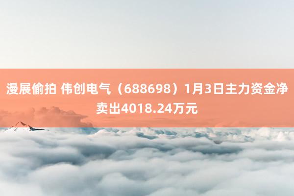 漫展偷拍 伟创电气（688698）1月3日主力资金净卖出4018.24万元