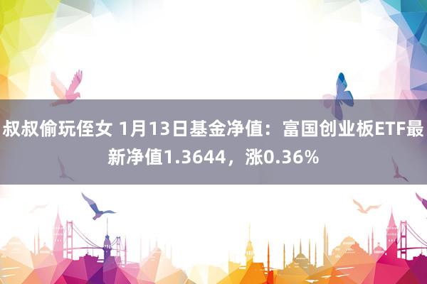 叔叔偷玩侄女 1月13日基金净值：富国创业板ETF最新净值1.3644，涨0.36%
