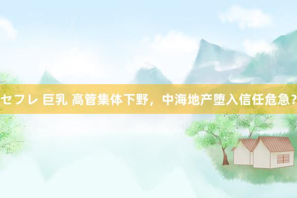セフレ 巨乳 高管集体下野，中海地产堕入信任危急？