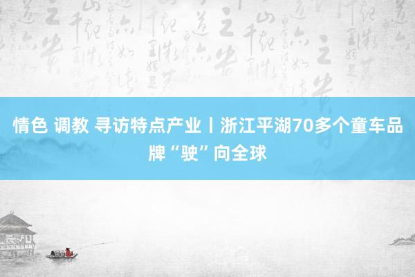 情色 调教 寻访特点产业丨浙江平湖70多个童车品牌“驶”向全球