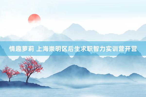 情趣萝莉 上海崇明区后生求职智力实训营开营
