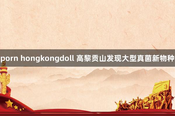 porn hongkongdoll 高黎贡山发现大型真菌新物种