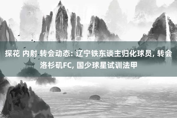 探花 内射 转会动态: 辽宁铁东谈主归化球员， 转会洛杉矶FC， 国少球星试训法甲